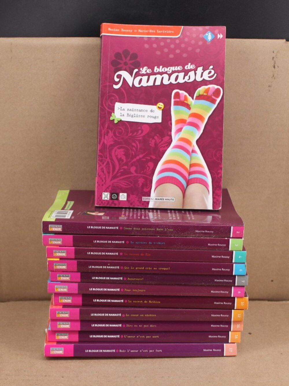 Lot 12 Livres Maxime Roussy - Le Blogue De Namasté Children Enfants French